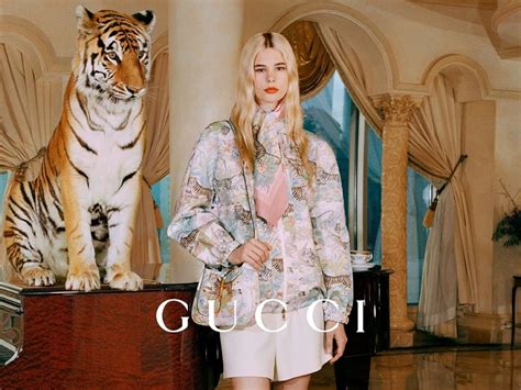 gucci tiger lamore